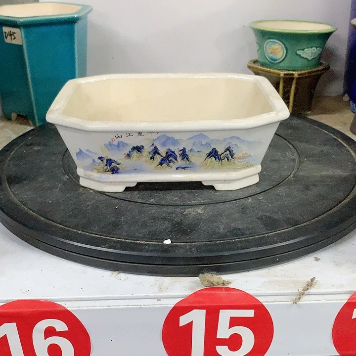 紫砂20CM（含）-50CM（不含）