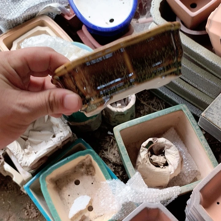 紫砂20CM（含）-50CM（不含）