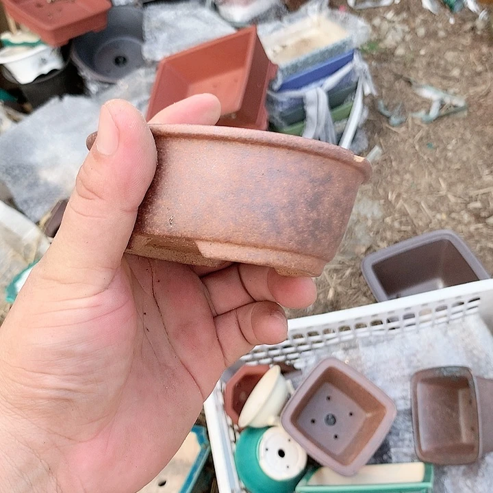 紫砂20CM（含）-50CM（不含）