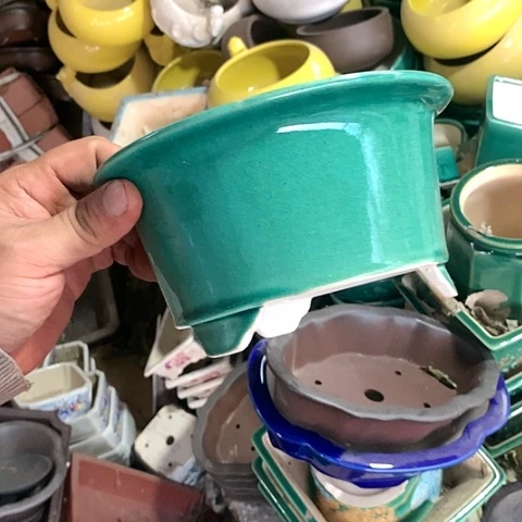 紫砂20CM（含）-50CM（不含）