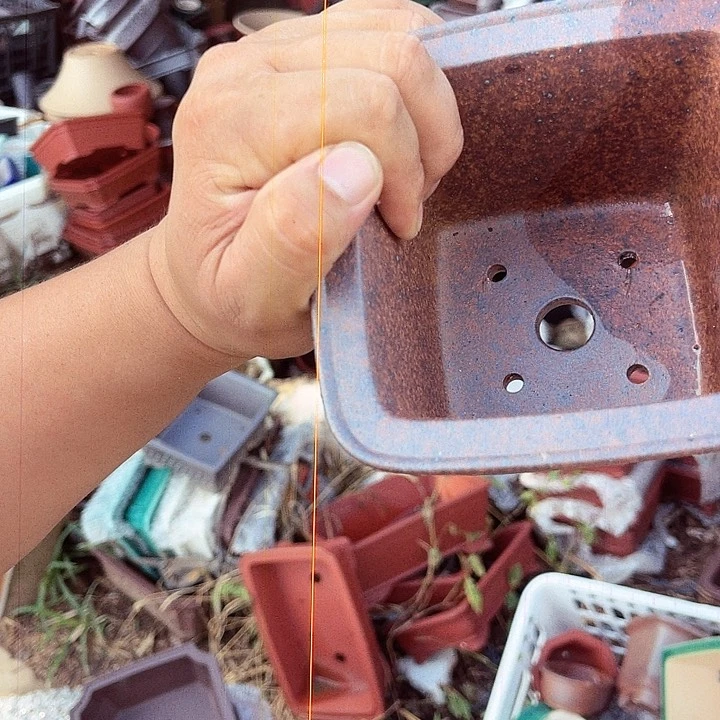 紫砂20CM（含）-50CM（不含）