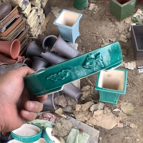 紫砂20CM（含）-50CM（不含）