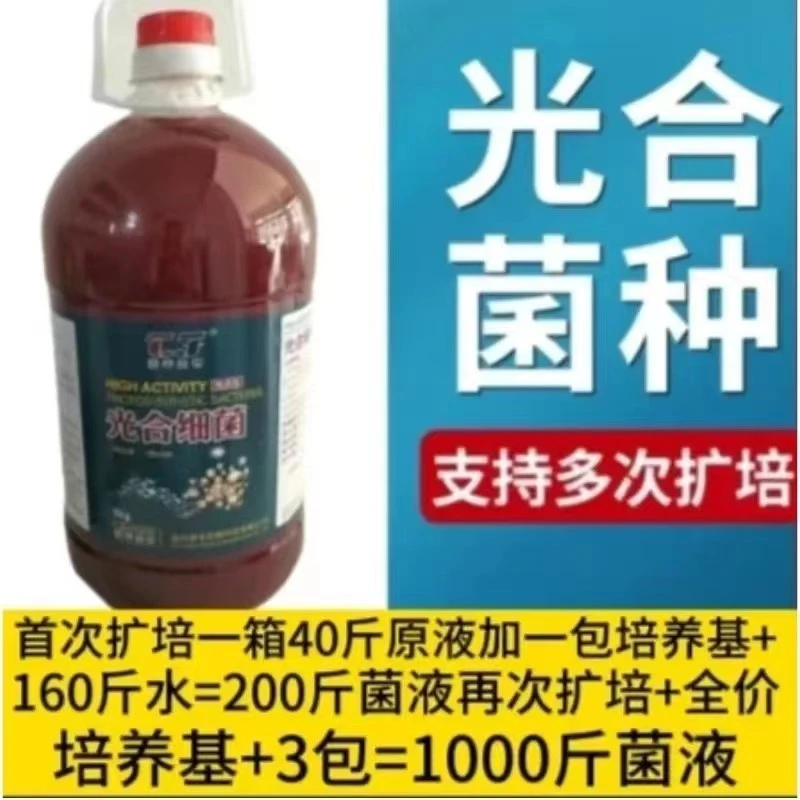 优质光合菌种支持多次扩培