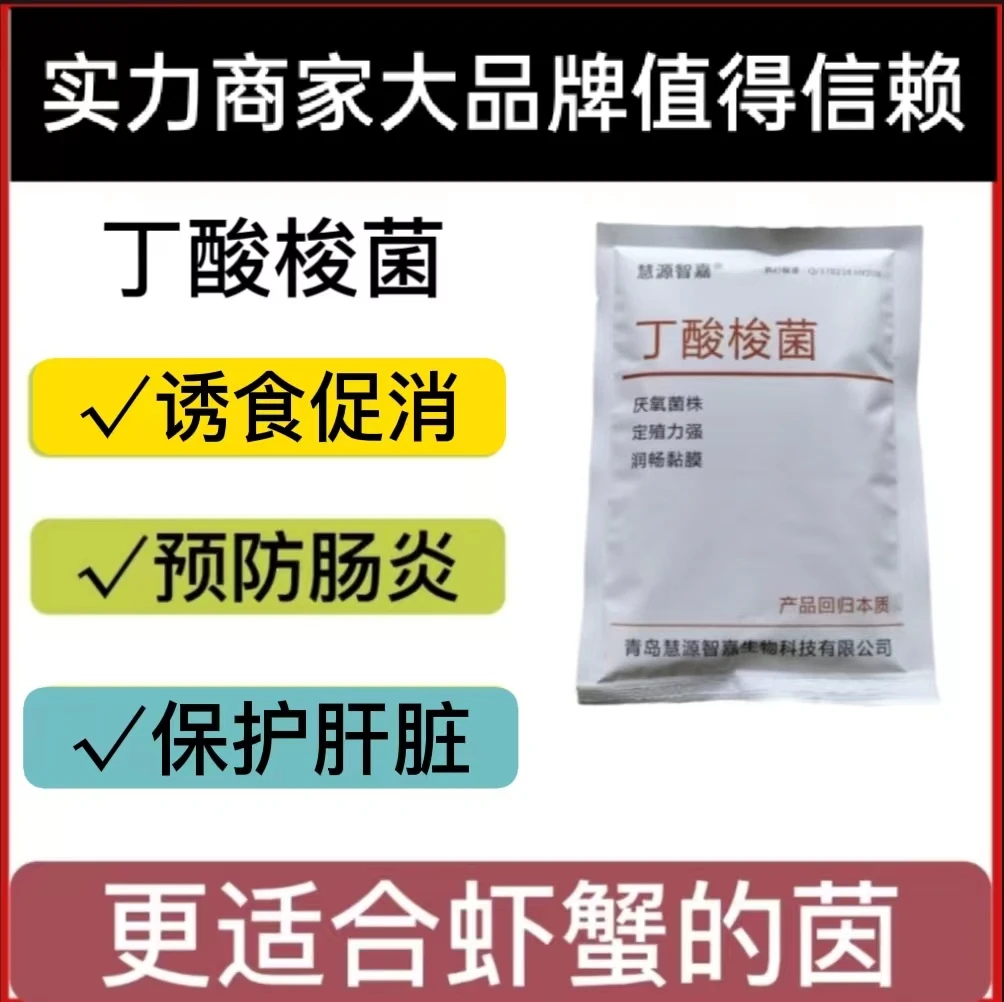 丁酸梭菌厌氧菌株定殖力强润畅黏膜