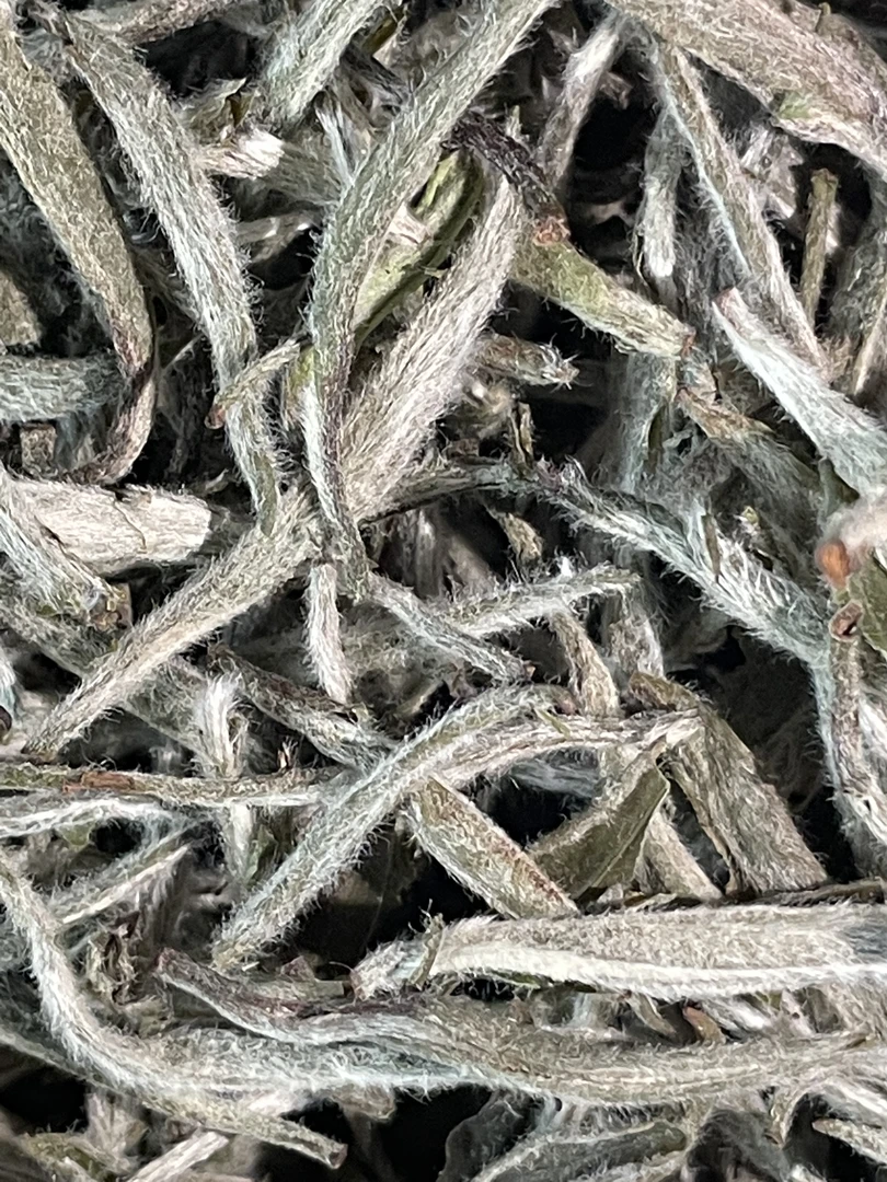 2023年福鼎白茶银针老树银针碳焙银针