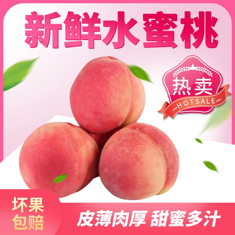 正宗肥城水蜜桃  肥桃 4.5-5斤 11-12个装礼盒装坏果包赔京东直达