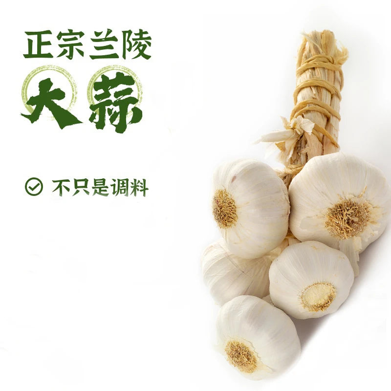 兰陵大蒜产地直发配料辣味饱满包赔产品发货