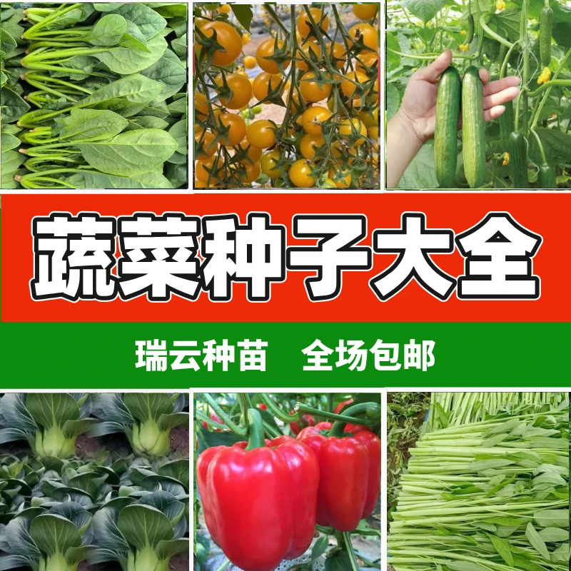 蔬菜种子大全袋装种子出芽率高优质品种四季种植阳台盆栽室外地栽