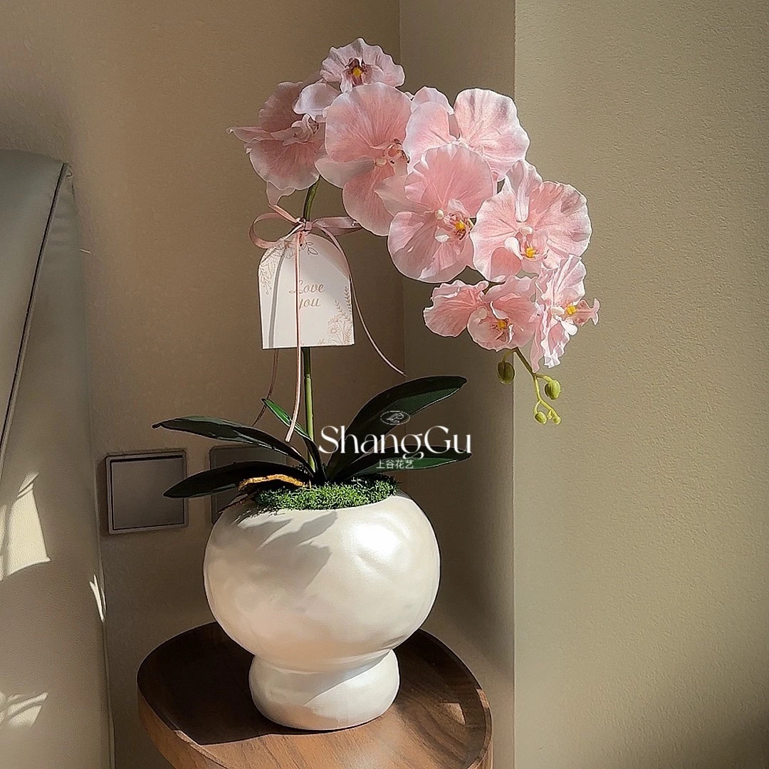 爆款蝴蝶兰假花仿真花摆设客厅餐桌花艺摆件家居装饰绢花盆栽拍摄