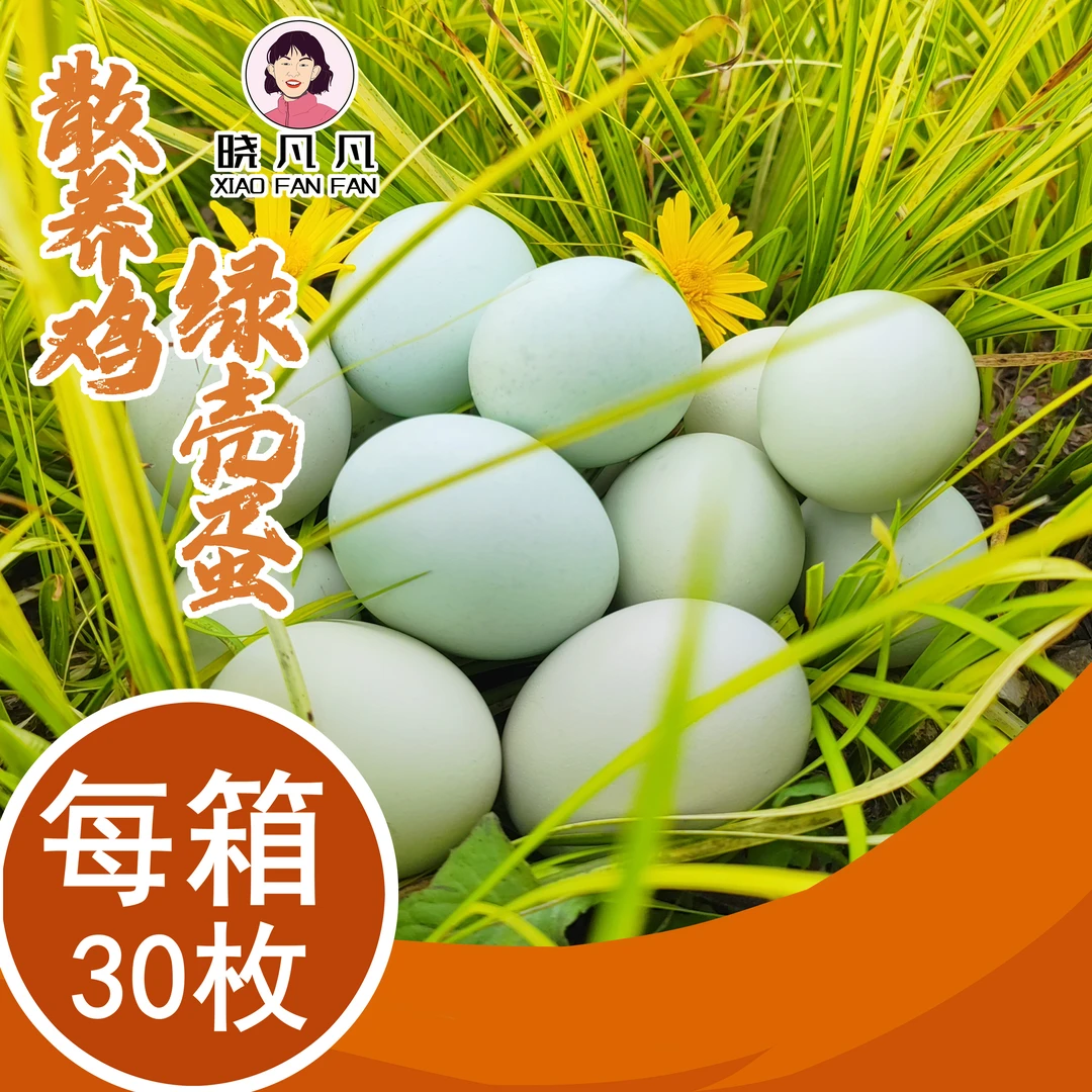 【30枚】苗茶岭农家优质新鲜绿壳蛋营养健康散养鸡喂养农村 45-50g