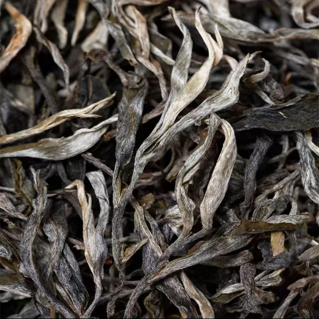 2024年【猫耳朵】一百八十年单株古树料云南普洱生茶500克/木箱装