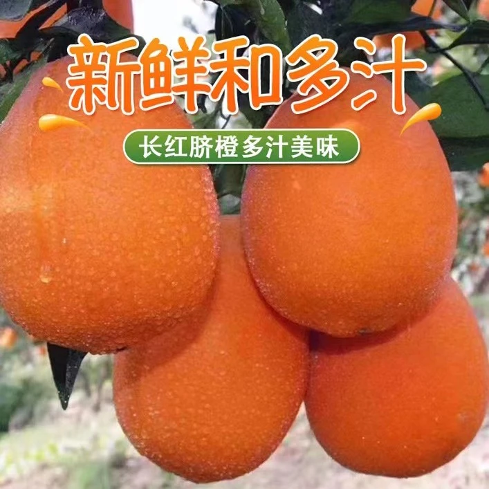 湖北秭归正宗长红纽荷尔当季新鲜果大皮薄汁多香甜大人小孩都爱吃