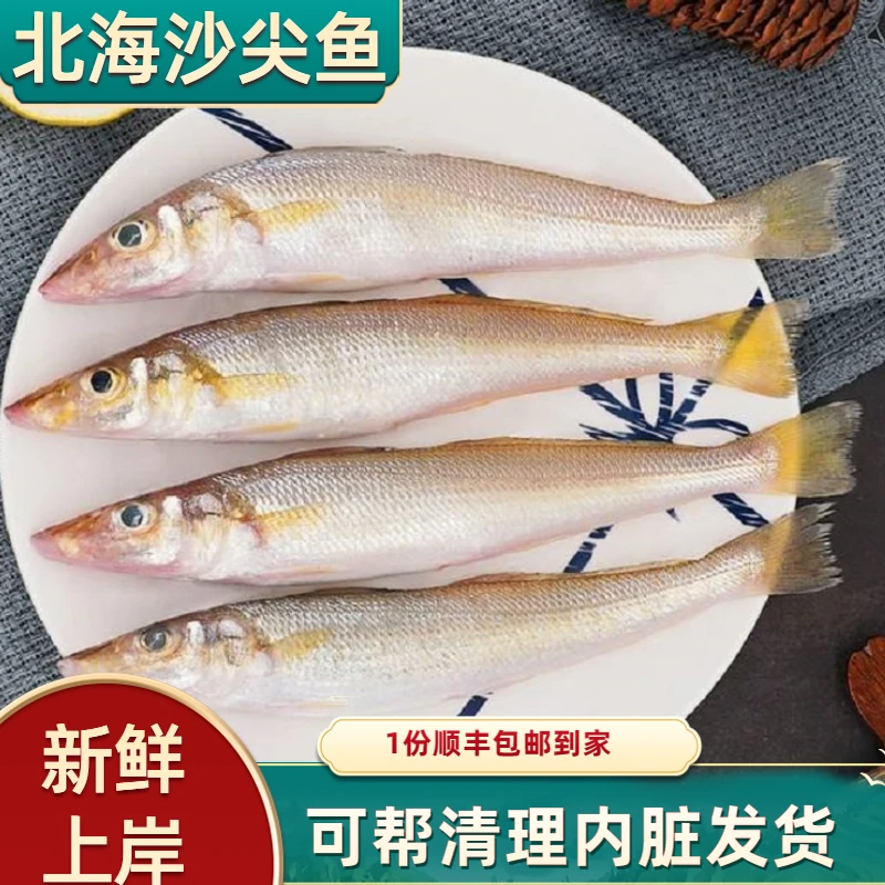 北海海捕新鲜沙丁鱼冷冻海鲜水产海鱼大沙尖鱼沙钻鱼4斤顺丰包邮