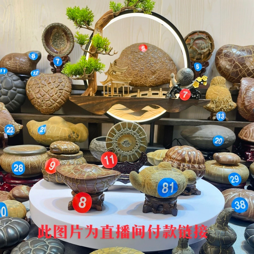 龟纹石带泥原石随机发一个