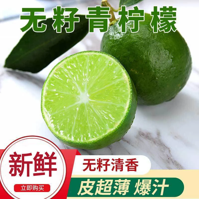 塔希提 无籽青柠檬1-5斤一级果皮薄多汁新鲜夏季奶茶水果