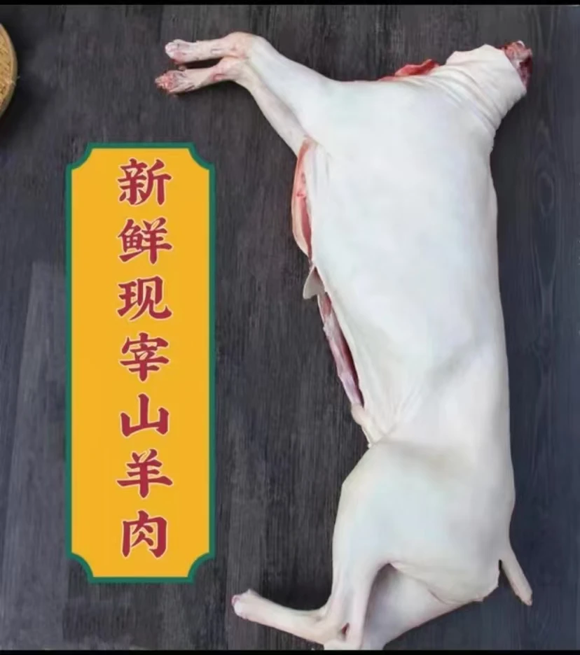 【正宗白山羊内蒙草原羊】客户专属改价链接