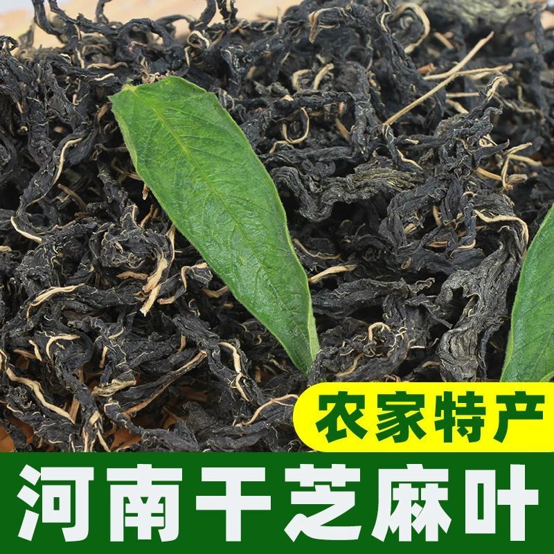 2025年新鲜干芝麻叶河南土特产干货方便农家自晒脱水蔬菜产品凉拌