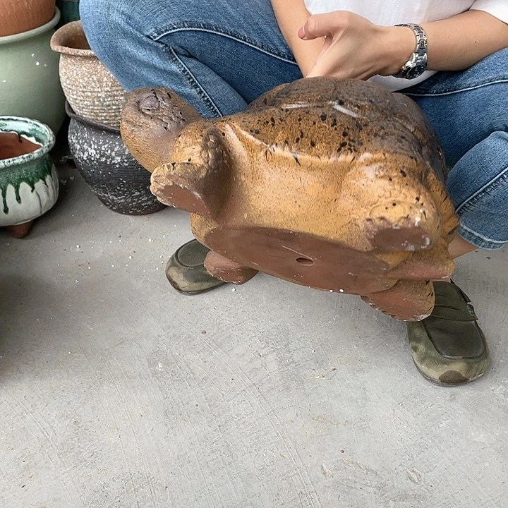 红陶20CM(含)-50CM(不含),