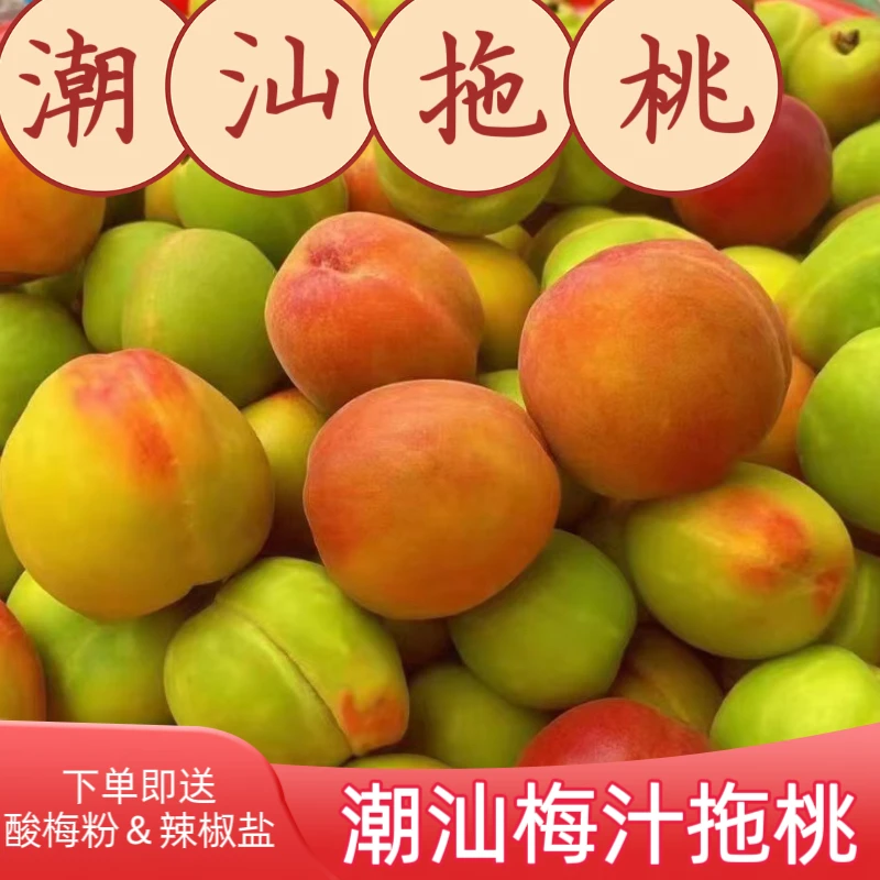 潮汕特产拖桃子冷藏拖李新鲜梅汁即食拖青芒酸味孕妇鲜红清香酸甜