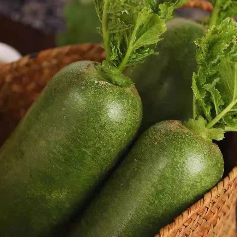 现拔【水果萝卜】5斤 生吃脆甜多汁一点微辣 小胖丫 华家 包邮