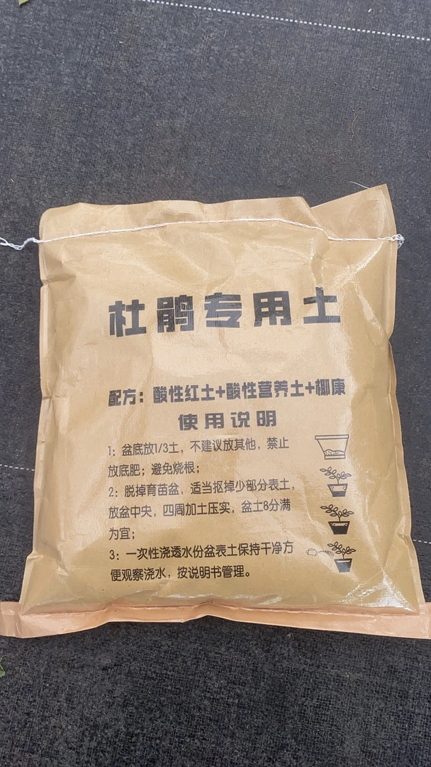 杜鹃花专用酸性营养土,透气性好不容易烂根