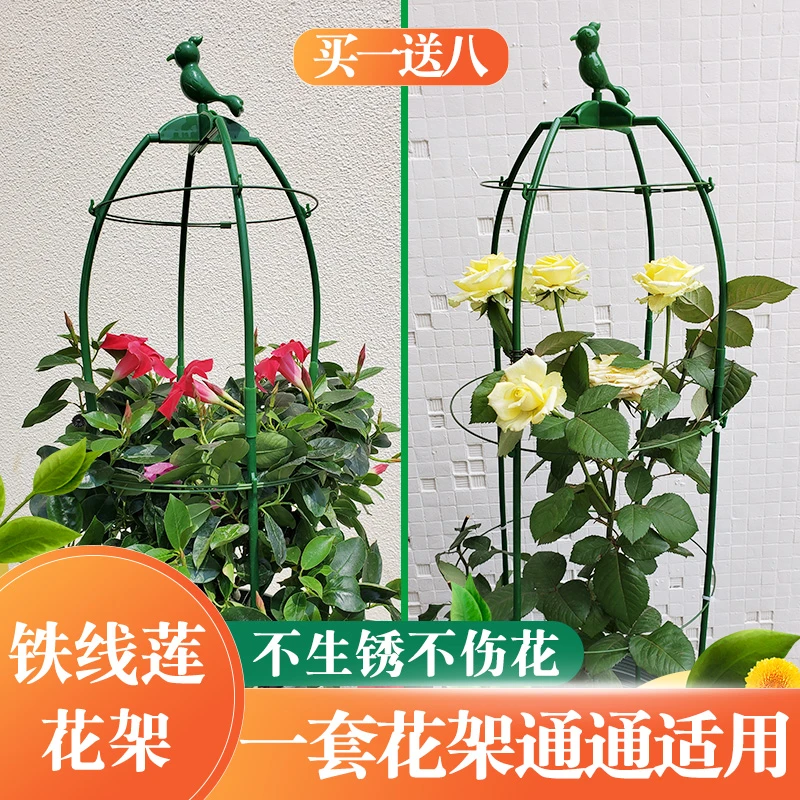 伸缩花架玫瑰月季铁线莲高低花支架阳台盆栽户外爬藤植物固定架子