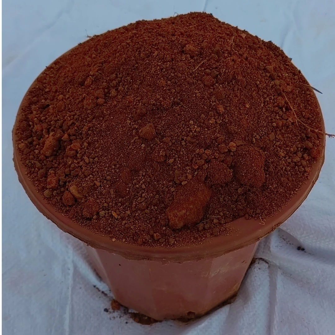 茉莉花小叶簕竹专用红土黄土风化土--酸性土壤