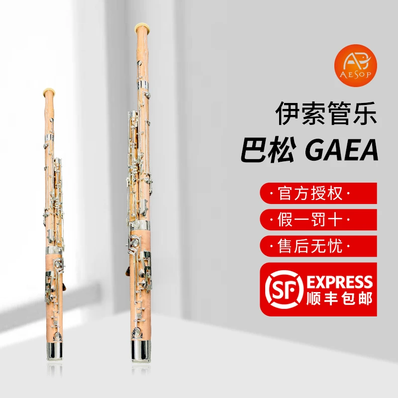 AESOP 巴松 GAEA系列 原木色 演奏