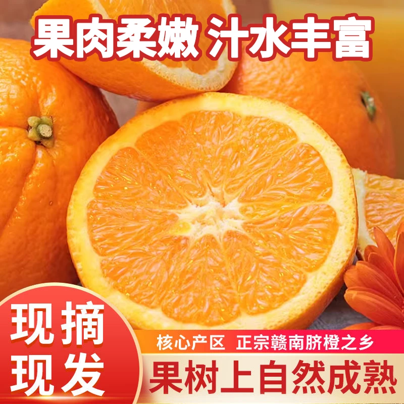 江西正宗赣南脐橙新鲜赣州橙子头茬赣南脐橙冰糖香甜细腻爆汁酸甜
