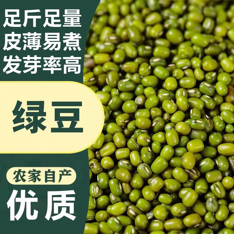 秦岭陕西大绿豆农家自产2024年新鲜绿豆颗粒饱满煲汤粥营养发豆芽