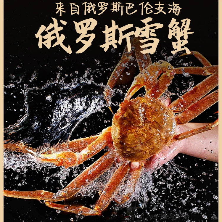 【松叶蟹老粉专享】活冻锁鲜俄罗斯松叶蟹饱满肉质全国顺丰直达