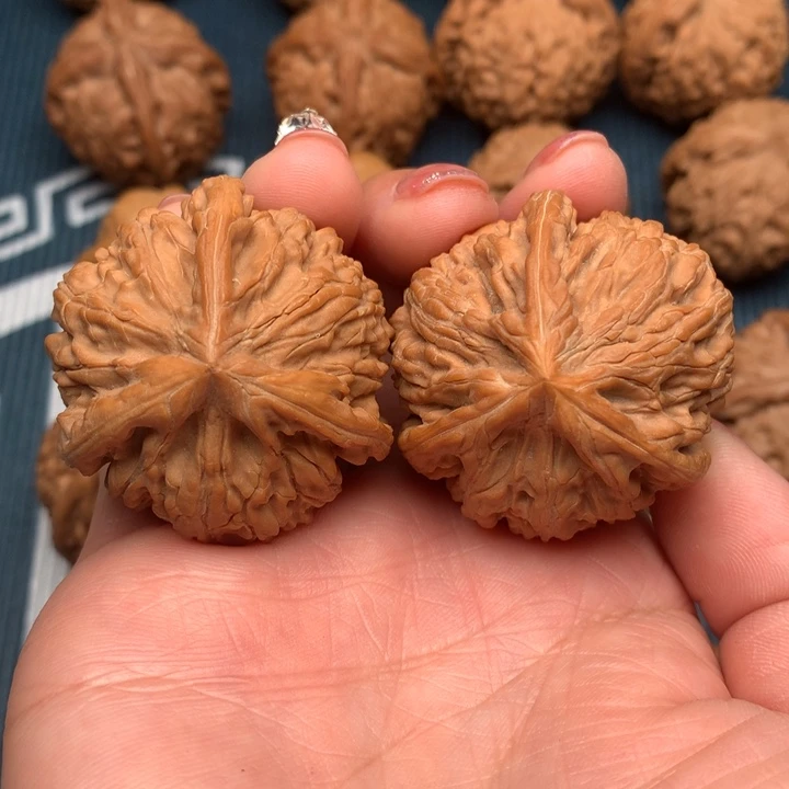 叶**落玉龙粗筋 福利福利