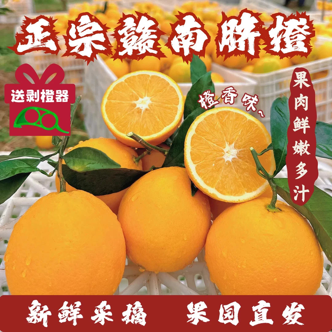 赣南脐橙正宗江西赣南脐橙【云朵专属】新鲜采摘精品园直发肉嫩多汁
