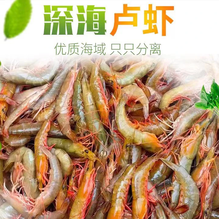 汕尾本港纯野生卢虾 顺丰冷链发货