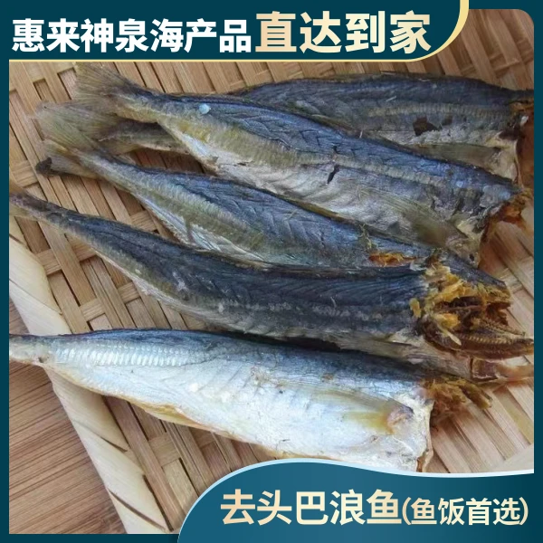 去头巴浪鱼晾晒 微咸 熟鱼7-8成干 肉质紧实烹饪美味 海产干货