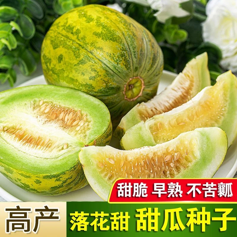 (新客立减)超甜落花甜瓜种子花皮甜瓜种籽薄皮早熟高产蔬果种子孑
