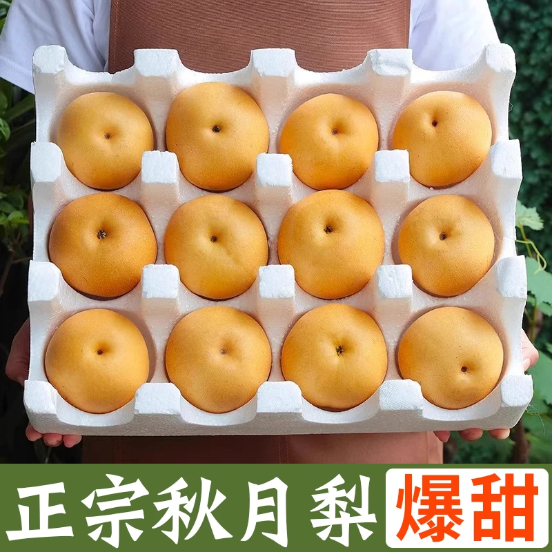 正宗秋月梨新鲜水果当季现摘现发山东整箱中秋水果礼盒斤梨子莱阳