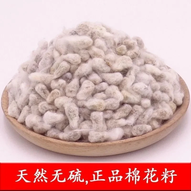 【棉花籽】100.5g/500.5g棉花子 棉花籽 棉花核 棉籽仁煮水另售百合