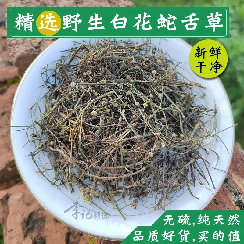野生白花蛇舌草天然晒干草药中药材蛇舌草500g1000g另售百合