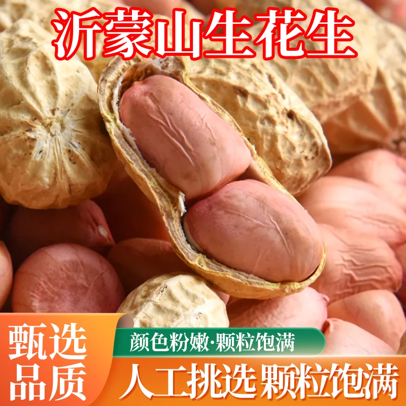山东沂蒙山特产花生米自家种植新鲜长粒花生米生吃带壳花生零食