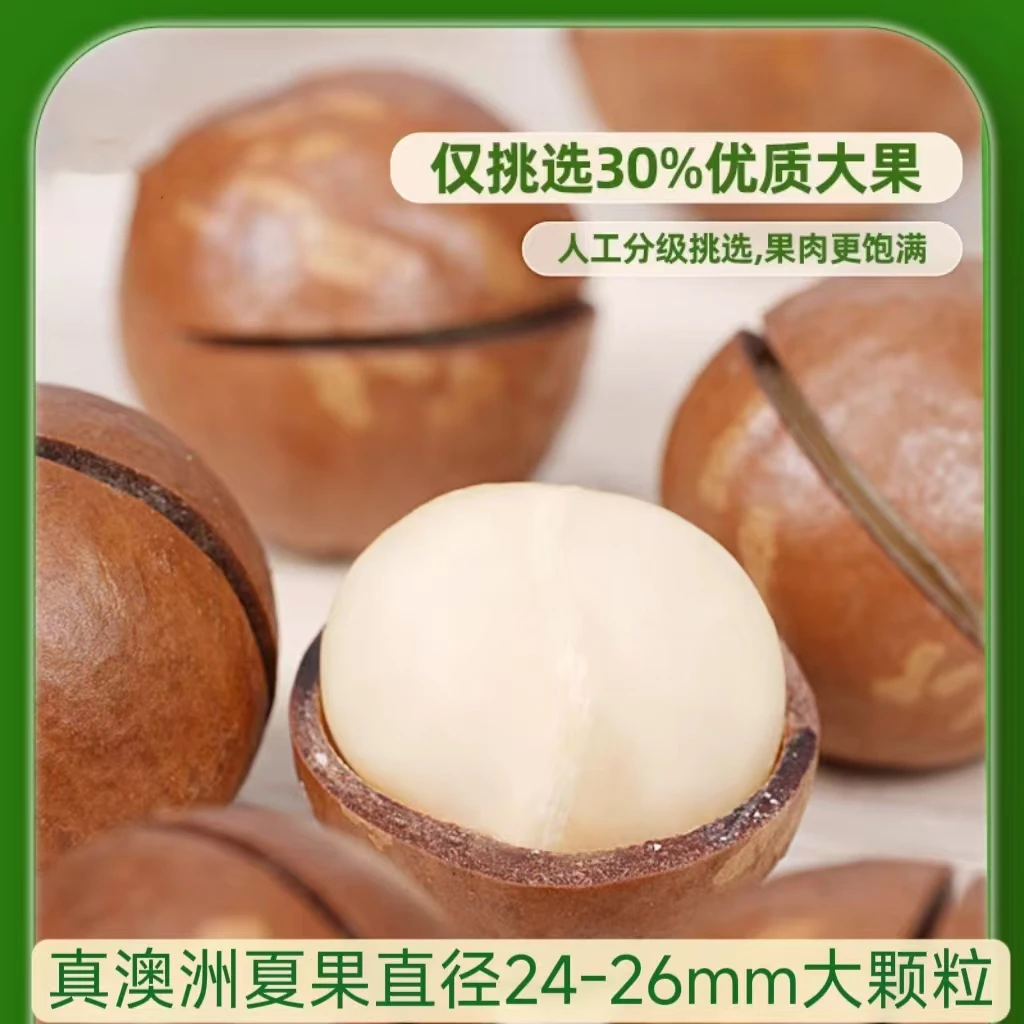 A+级24-26mm大颗粒澳洲夏威夷果，奶香味500g*1罐