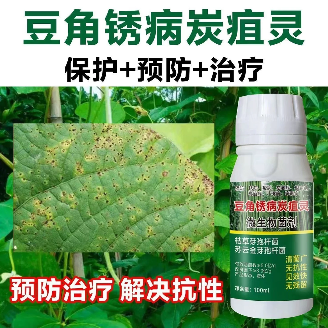 豆角病专用活菌锈病炭疽灵豆角枯萎根腐微生物菌剂液体长效营养
