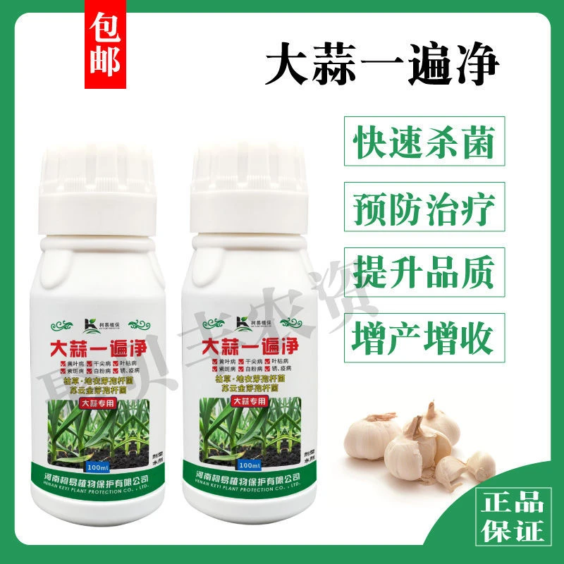 大蒜专用大蒜黄叶病药黄叶干尖叶枯紫斑白粉锈病专用一遍净活菌