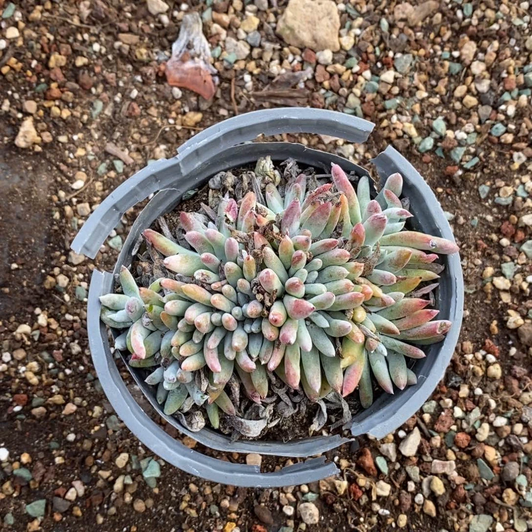 2197哈哈哈哈哈哈哈哈哈