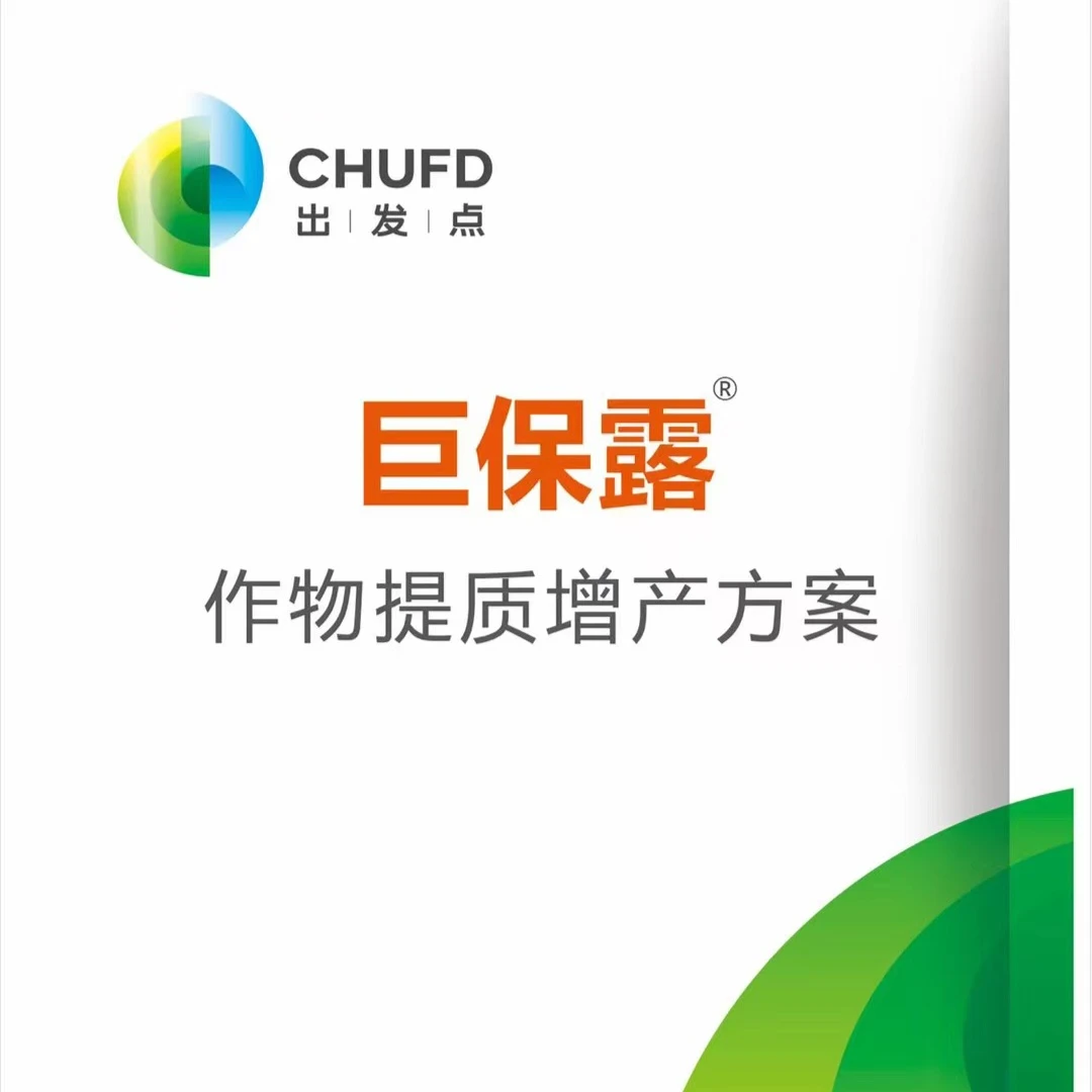 巨保露套餐巨保露