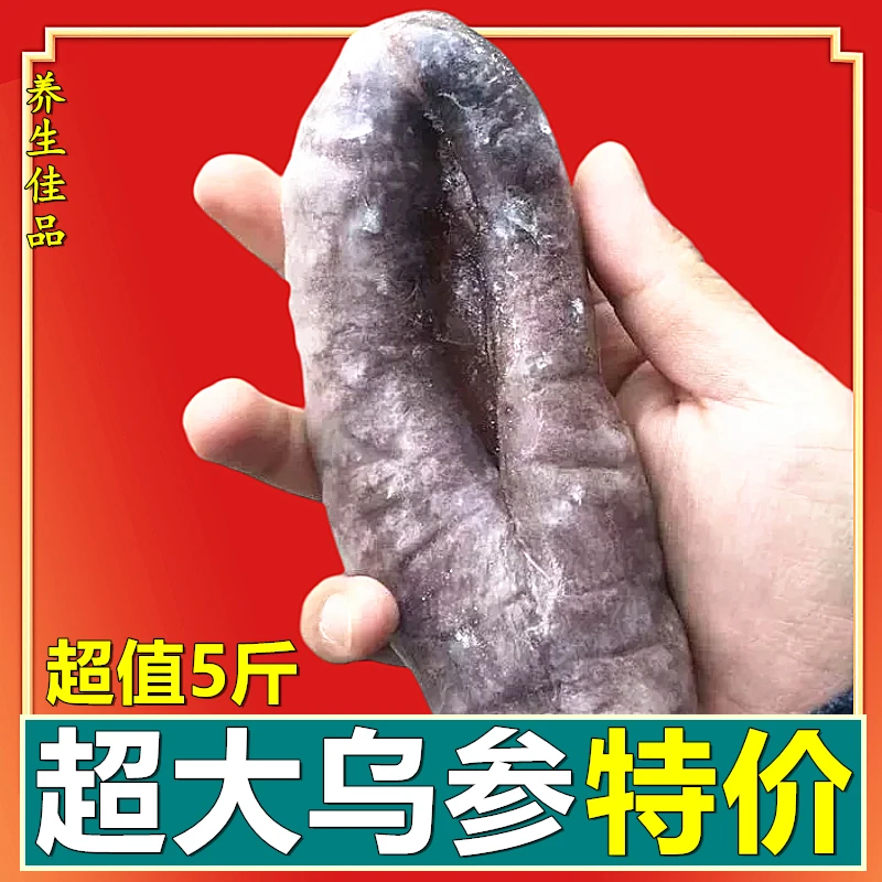 新店开业【超值5斤】新鲜深海大乌参去内脏茄参速冻海茄子参即食