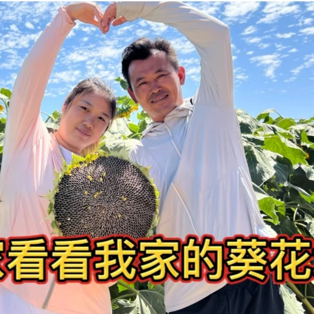 【5斤生瓜子】2025年新鲜向日葵现摘即食生瓜子2.5kg