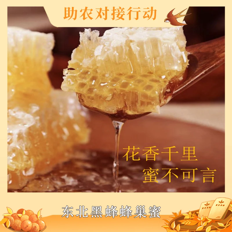 宝清东北黑蜂东北黑蜂自然成熟蜂巢蜜 每盒500g