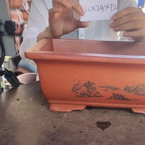 紫砂20CM(含)-50CM(不含)32红马槽