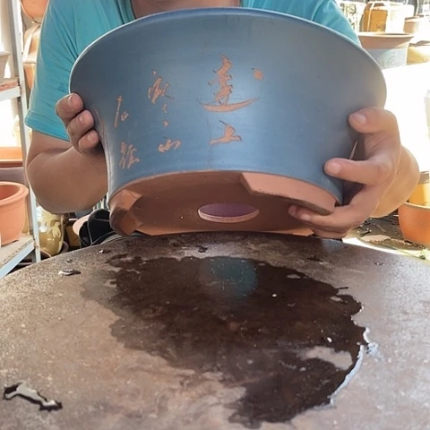紫砂20CM（含）-50CM（不含）33蓝票口